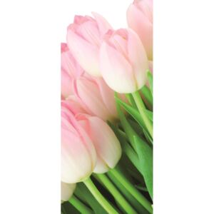 Fototapeta na dveře Bouquet of tulips vlies 91 x 211 cm