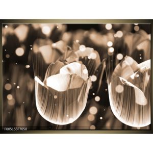 Krásný černobílý obraz tulipánů (F005155F7050)
