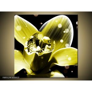 Obraz žluté květiny (F005129F3030GD)