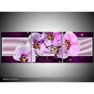Obraz krásných orchidejí (F005621F9030CC)