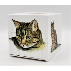 Krabička na kapesníky, kapesníkovník, Mourovatá kočka