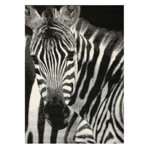 Kusový koberec PP Zebra černý 160x225, Velikosti 160x225cm