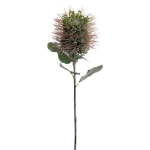 Animadecor Umělá květina Protea - tropická