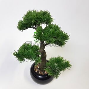 Umělá bonsaj Cedar 34cm - Do interiéru