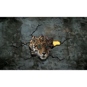 Postershop Fototapeta: Gepard ve zdi - 184x254 cm