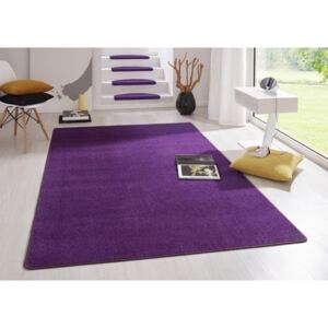 Moderní kusový koberec Fancy 103005 | fialový Typ: 80x200 cm