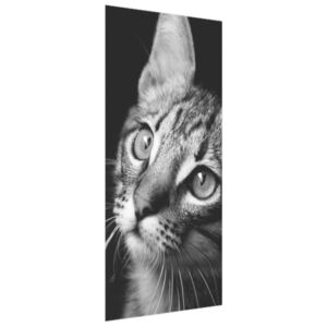 Samolepící fólie na dveře Pohled kočky - Visualpanic 95x205cm ND3380A_1GV