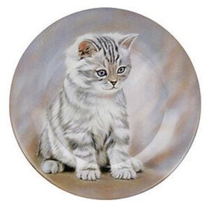 Talířek porcelánový kočka - Mourovaté kotě