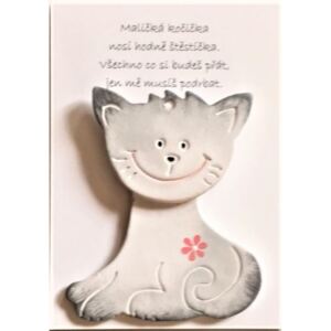 Přání keramická šedá kočička s květinkou