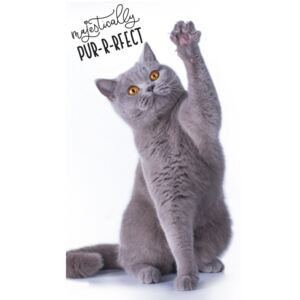 Ručník Britská kočka 30x50 cm (Ručník kočka, ručník s kočkou)