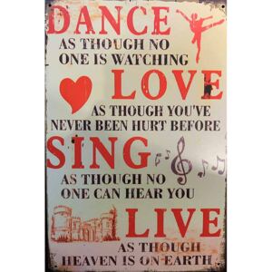 Cedule Dance Love Sing Live 30cm x 20cm Plechová cedule