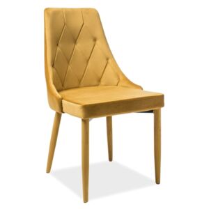 Jídelní židle - TRIX Velvet, různé barvy na výběr Čalounění: curry (tap.68)