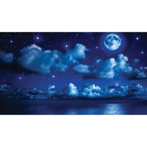 Fototapeta vliesová: Měsíční noc - 416x254 cm