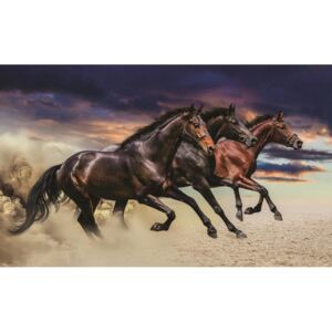 Postershop Fototapeta: Cvalájící koně - 184x254 cm