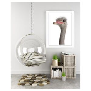 CARO Obraz v rámu - Ostrich'S Head 30x40 cm Bílá