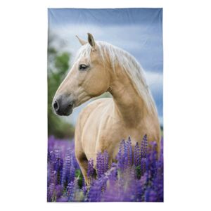 Detexpol Bavlněný ručník 30x50 cm Kůň modrý