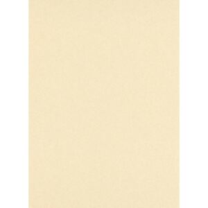 Erismann, 5918-02, velikost 53 cm x 10,05 m, Béžová vliesová tapeta na zeď Isabella 5918-02