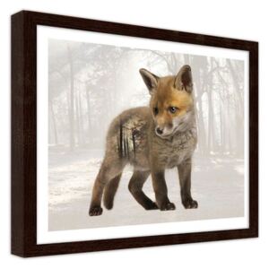 CARO Obraz v rámu - Small Fox 40x30 cm Hnědá