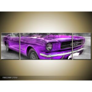 Obraz fialového auta (F002200F17050)