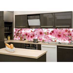 KUPSI-TAPETY KI-260-054 Fototapeta do kuchyně - Apple Blossom (Květy jabloní) 260 x 60 cm