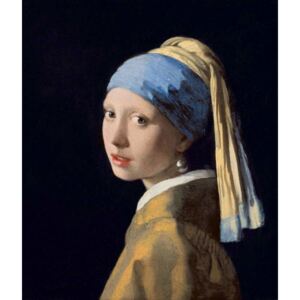 Obraz, Reprodukce - Girl with a Pearl Earring, c.1665-6, Jan (1632-75) Vermeer