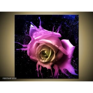Moderní obraz pestrobarevné růže (F003564F3030)