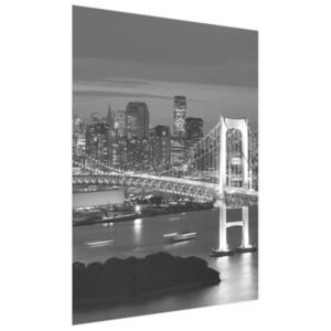 Fototapeta Duhový most Tokio 150x200cm FT2390A_2M