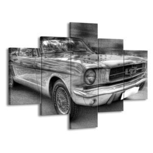 Vícedílný obraz Auto černobíle 100x70 cm