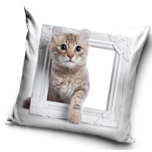 Povlak na polštář bílý, 3D Kotě v okně 40*40cm (Polštář kočka, s kočkou)