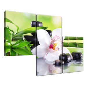 Obraz na plátně Bílá orchidej a kameny 90x60cm 1995A_3L
