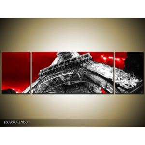 Obraz černobílé Eiffelovy věže (F003000F17050)