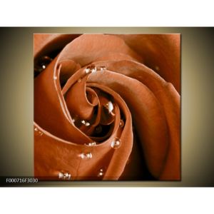 Obraz kapek rosy na růži (30x30 cm)