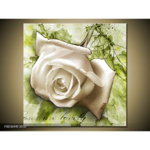 Obraz bílé růže na zeleném pozadí (F003694F3030)