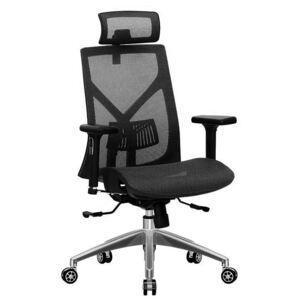 Kancelářská židle ERGODO FARLEY černá