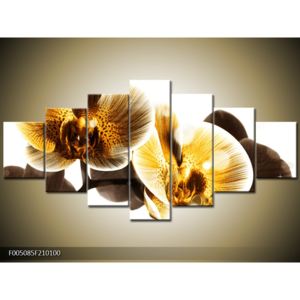 Obraz žlutých orchidejí (F005085F210100)
