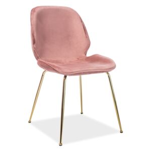 Jídelní židle - ADRIEN Velvet, různé barvy na výběr Čalounění: růžová (tap.92)