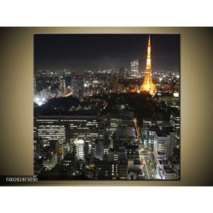 Obraz Paříže s Eiffelovou věži (F002824F3030)