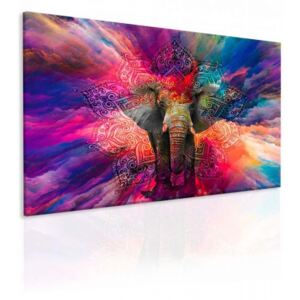 Obraz slon štěstí (90x60 cm) - InSmile ®