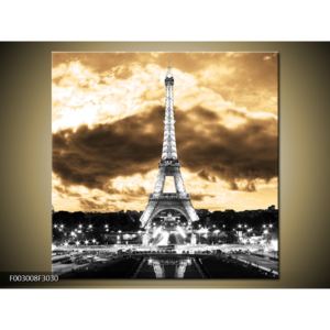 Obraz Eiffelovy věže v Paříži (F003008F3030)