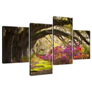 Obraz na plátně Silné duby a květiny 120x70cm 1480A_4AA