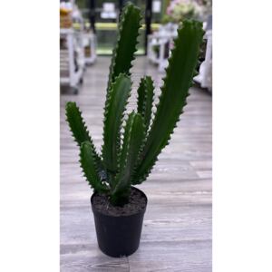 Umělá květina Silk-ka kaktus zelený 64cm