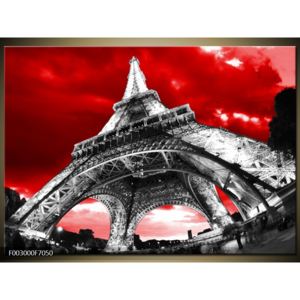 Obraz černobílé Eiffelovy věže (F003000F7050)