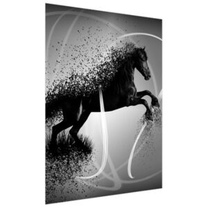Samolepící fólie Černobílý kůň - Jakub Banas 150x200cm OK3573A_2M