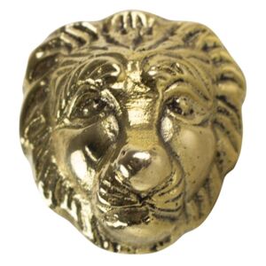Zlatá úchytka lev - 3,4*3,4*6cm