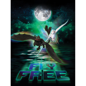 Obraz na plátně Jak vycvičit draka 3 - Fly Free In The Moonlight, (60 x 80 cm)