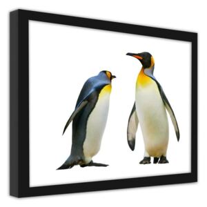 CARO Obraz v rámu - Penguins 40x30 cm Černá