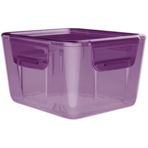 Krabička na jídlo Easy-Keep 1200 ml fialová - Aladdin