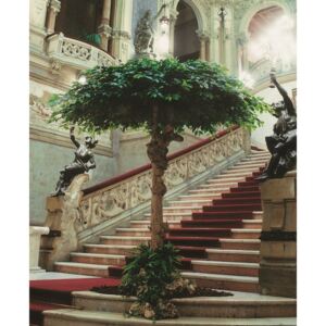 ILA Umělý strom Fikus Exotica Umbrella Varianta: 220cm