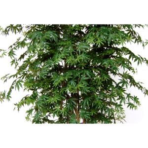 ILA Umělý strom Maple Gigantea Varianta: 260cm zelená