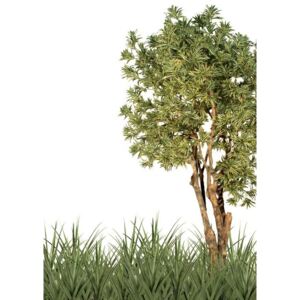 ILA Umělý strom Dracaena Reflexa Gigantea (320cm) vícebarevná